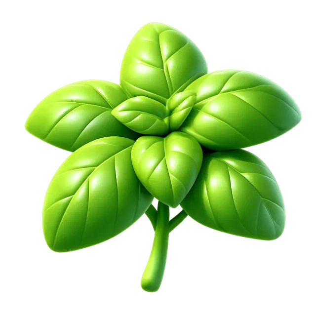 ภาพประกอบคำว่า basil (ใบโหระพา)