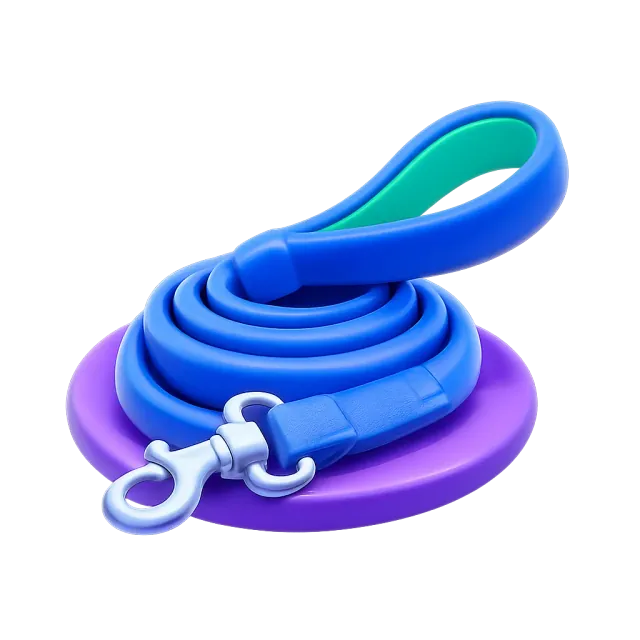 ภาพประกอบคำว่า leash (สายจูง)
