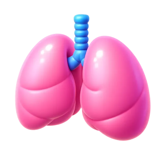 ภาพประกอบคำว่า lung (ปอด)