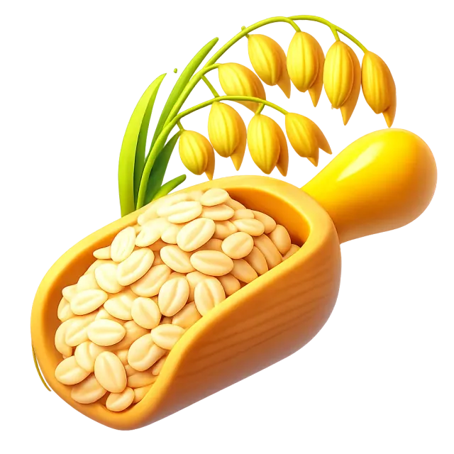 ภาพประกอบคำว่า oats (ข้าวโอ๊ต)