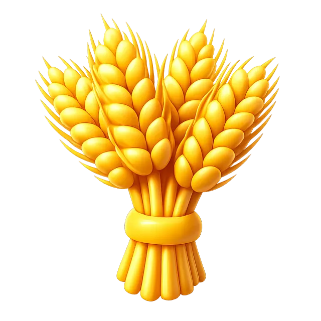 ภาพประกอบคำว่า wheat (ข้าวสาลี)
