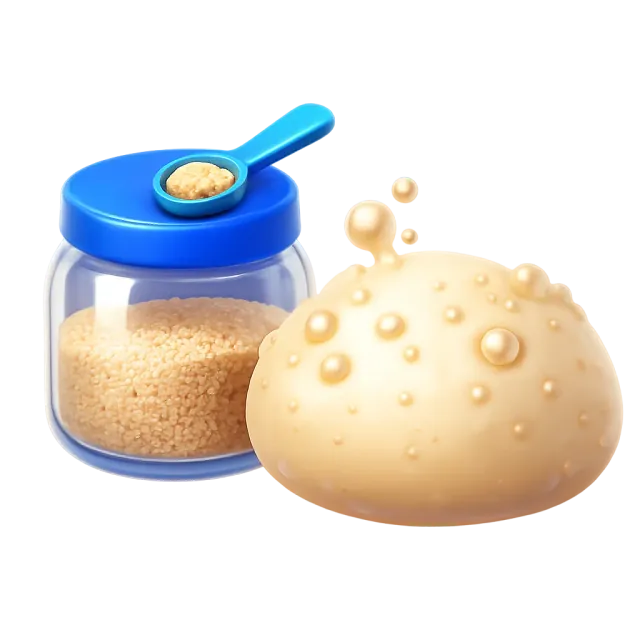 ภาพประกอบคำว่า yeast (ยีสต์)