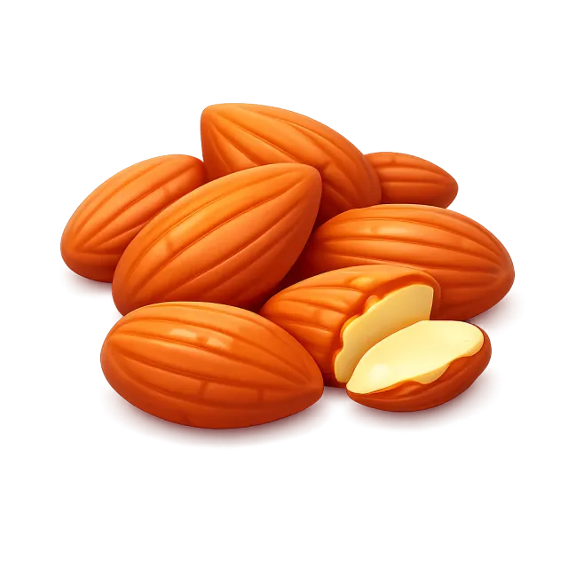 ภาพประกอบคำว่า almond (อัลมอนด์)