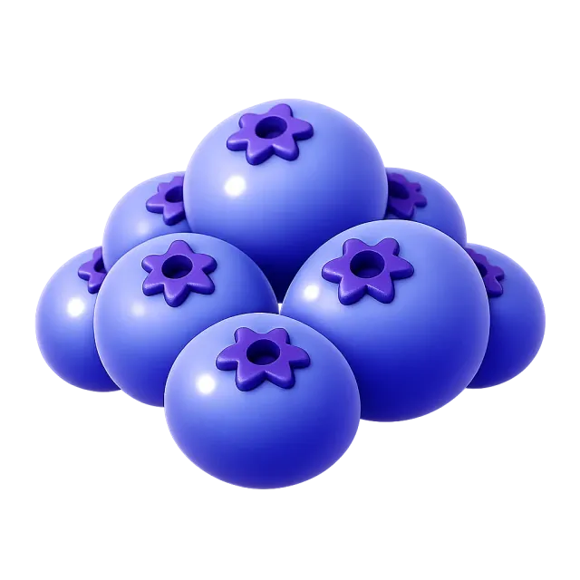 ภาพประกอบคำว่า blueberry (บลูเบอร์รี่)