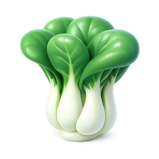 ภาพประกอบคำว่า bok choy (ผักกาดฮ่องเต้ (บกฉ่อย))
