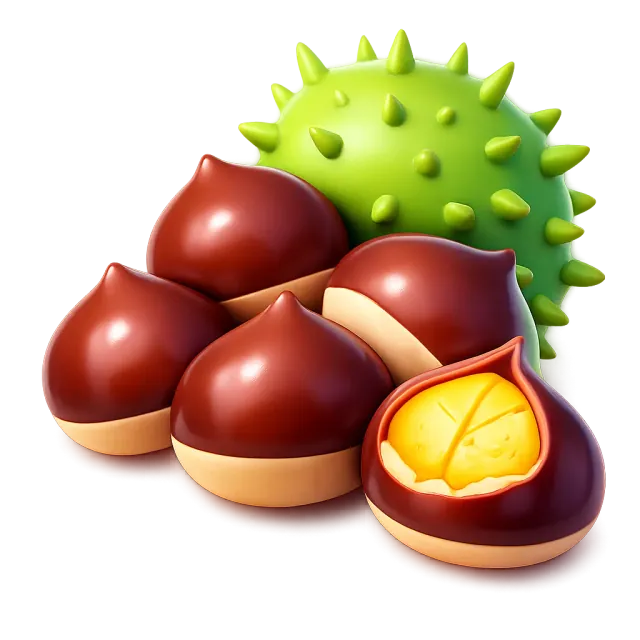 ภาพประกอบคำว่า chestnut (เกาลัด)