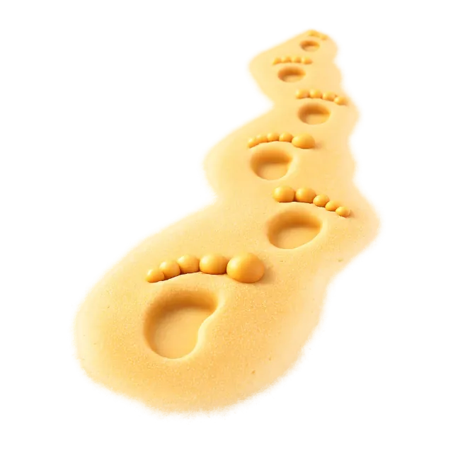 ภาพประกอบคำว่า footprint (รอยเท้า)