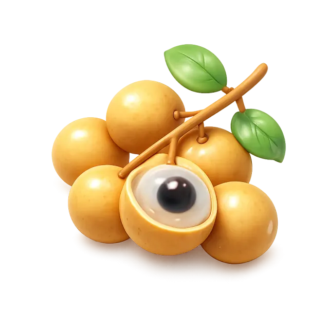ภาพประกอบคำว่า longan (ลำไย)