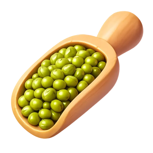 ภาพประกอบคำว่า mung bean (ถั่วเขียว)