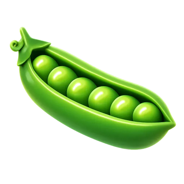 ภาพประกอบคำว่า pea (ถั่วลันเตา)