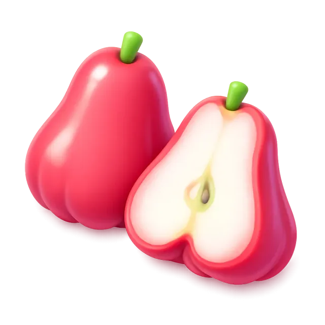 ภาพประกอบคำว่า rose apple (ชมพู่)