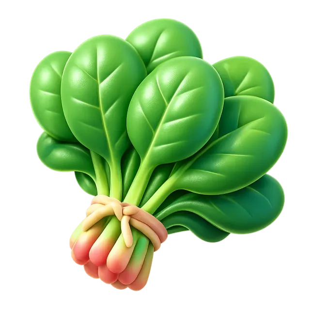 ภาพประกอบคำว่า spinach (ผักโขม)