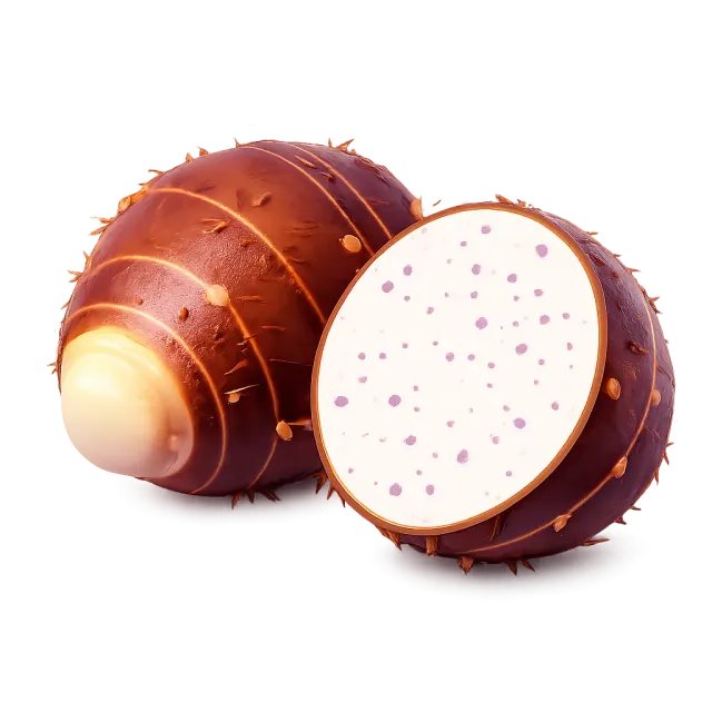 ภาพประกอบคำว่า taro (เผือก)